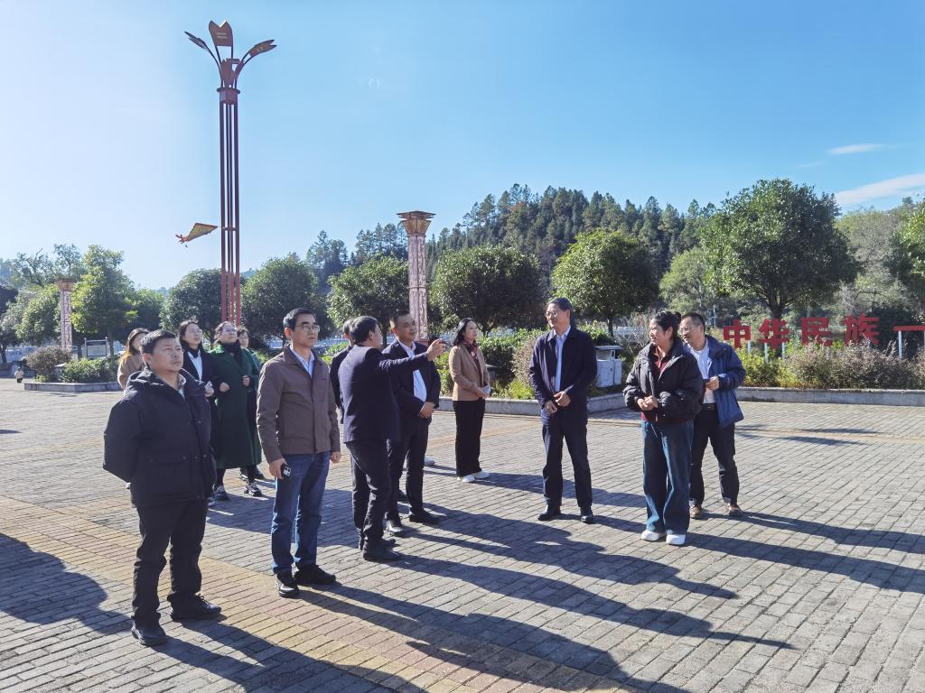 tapplay官网